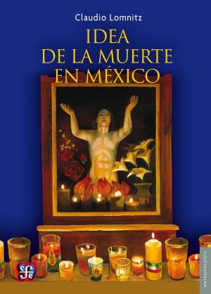 Cover of the book La idea de la muerte en México by Varios autores