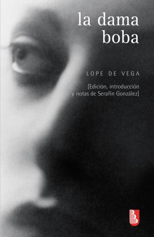 Cover of the book La dama boba by Bernardo Esquinca