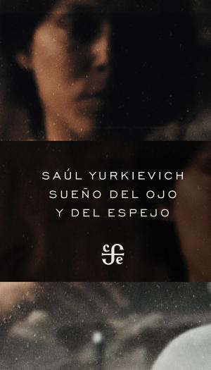 Cover of the book Sueño del ojo y del espejo by Antonio Alatorre