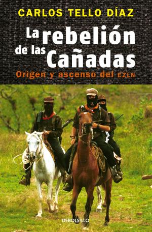 Cover of the book La rebelión de Las Cañadas by Anaí López