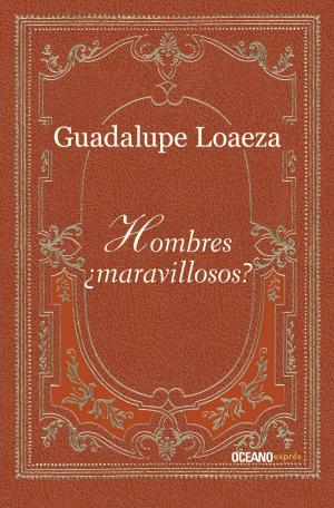 Cover of the book Hombres ¿maravillosos? by Vicente Riva Palacio