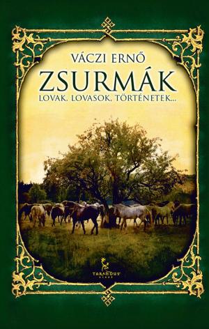 bigCover of the book Zsurmák by 