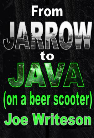 Cover of the book From Jarrow to Java (on a beer scooter) by Martha Rosenthal