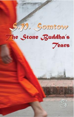 Book cover of The Stone Buddha's Tears