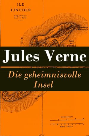 Cover of the book Die geheimnisvolle Insel by Herman Melville, D. H. Lawrence
