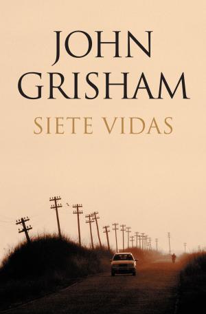 Cover of the book Siete vidas by Hernán Rivera Letelier