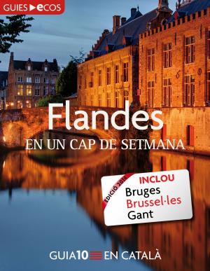 Cover of the book Flandes. En un cap de setmana by 