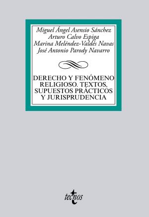 Book cover of Derecho y fenómeno religioso. Textos, supuestos prácticos y jurisprudencia