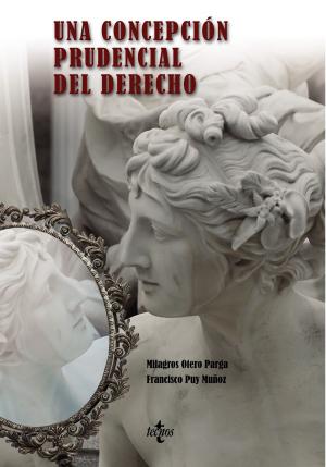 Cover of the book Una concepción prudencial del Derecho by Pilar Nuñez-Cortés Contreras, José Fernando Lousada Arochena