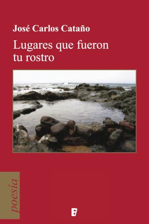 Cover of the book Lugares que fueron tu rostro by Rosa Montero
