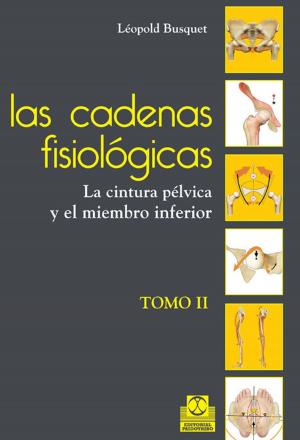 Cover of the book Las cadenas fisiológicas (tomo II) by Frank Le Gall