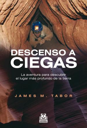 Book cover of Descenso a ciegas