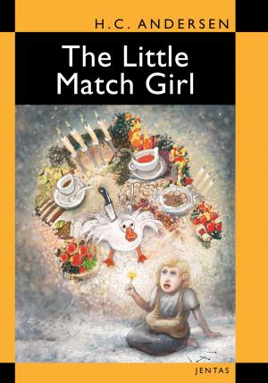 Book cover of Little Match Girl