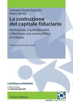 Book cover of La costruzione del capitale fiduciario. Motivazione, imprenditorialità e libertà per una nuova politica dello sviluppo
