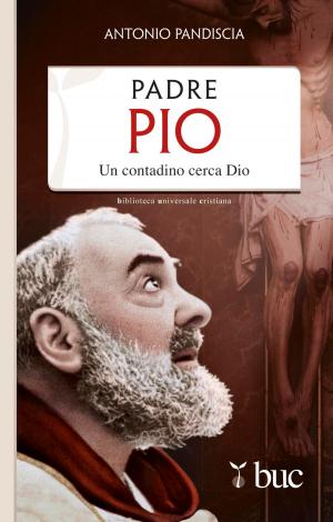 Cover of the book Padre Pio. Un contadino cerca Dio by Angèle Lieby, Hervé de Chalendar
