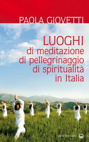 Book cover of Luoghi di meditazione, di pellegrinaggio, di spiritualità in Italia