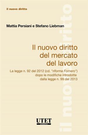 Book cover of Il Nuovo Diritto Del Mercato Del Lavoro La legge n. 92 del 2012 (cd. “riforma Fornero”) dopo le modifiche introdotte dalla legge n. 99 del 2013