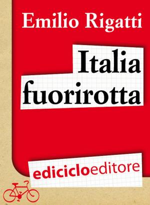 Cover of Italia fuorirotta. Viaggio a pedali attraverso la Penisola del tesoro