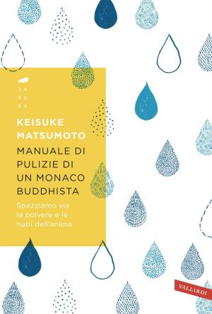 Cover of the book Manuale di pulizie di un monaco buddhista by Boris Kordemsky