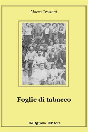 Book cover of Foglie di tabacco