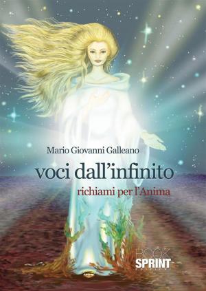 Cover of the book Voci dall'infinito by Adr Conciliamo, Claudia Landi, Mauro Ferlito, Ilaria Ferlito, Giulia Caprì, Amedeo Fantaccione, Gino Marcoccia
