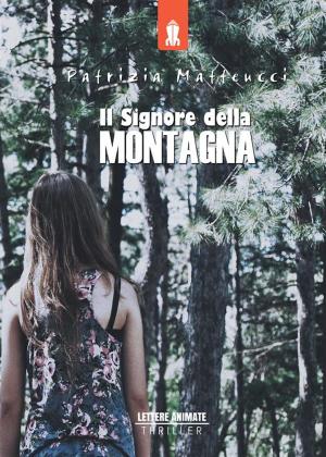 Cover of the book Il signore della montagna by Miriam Nicopezz