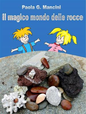 Cover of Il magico mondo delle rocce