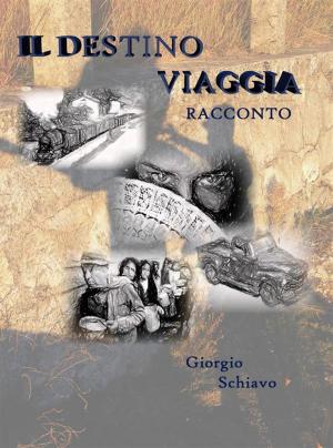 Cover of the book Il Destino Viaggia by Erik Nain