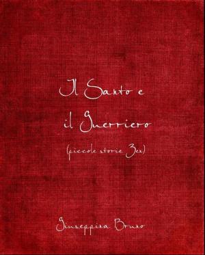 Cover of Il santo e il guerriero