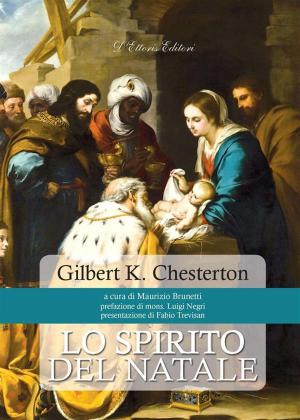 Cover of the book Lo spirito del Natale by Don Gaudioso Mercuri