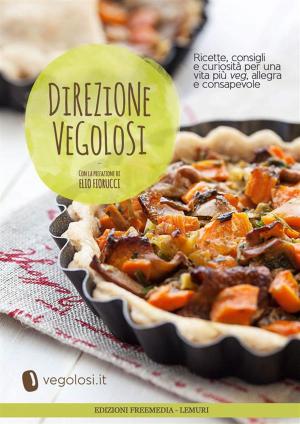 Cover of the book Direzione Vegolosi by Daksha Mehta
