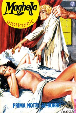 Book cover of Prima notte al burro