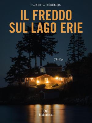 Book cover of Il freddo sul Lago Erie