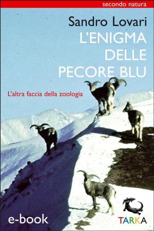 Cover of the book L'enigma delle pecore blu by Riccardo Canesi