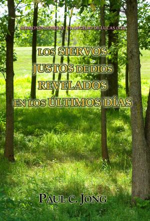 Cover of the book Sermones sobre el evangelio de lucas (VII) - Los siervos justos de dios revelados en los últimos días by Paul C. Jong