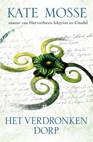 Cover of the book Het verdronken dorp by J.R.R. Tolkien