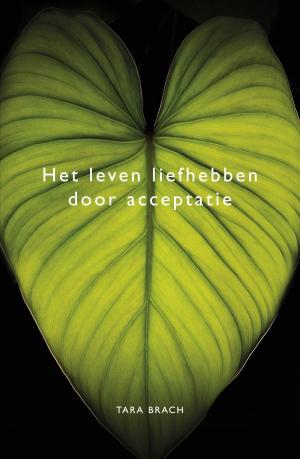 Cover of the book Het leven liefhebben door acceptatie by Julia Burgers-Drost