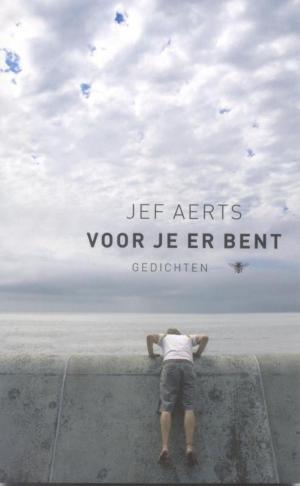 Cover of the book Voor je er bent by Chris de Stoop