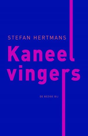 Book cover of Kaneelvingers