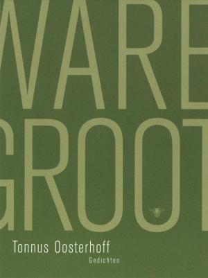 Cover of the book Ware grootte by Amos Oz