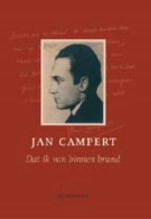 Cover of the book Dat ik van binnen brand by Marten Toonder