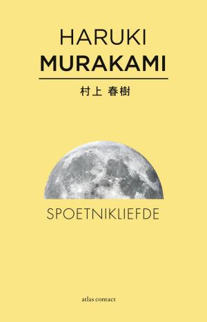 Cover of the book Spoetnikliefde by Geert Mak