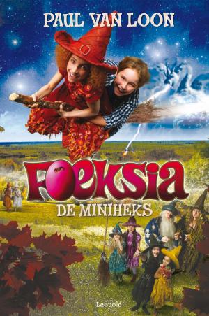 Book cover of Foeksia de miniheks filmeditie