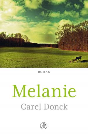 Cover of the book Melanie by Gerrit Kouwenaar