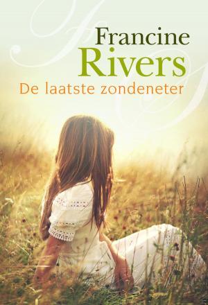 Cover of the book De laatste zondeneter by Ellen Winkel