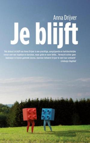 Cover of the book Je blijft by Anna Enquist
