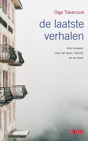 Cover of the book De laatste verhalen by Joke van Leeuwen