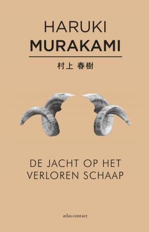 Cover of the book De jacht op het verloren schaap by Lieve Joris