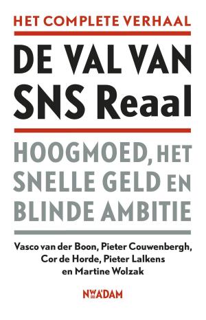 Cover of the book De val van SNS Reaal by Mark Mieras