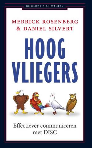 Cover of the book Hoogvliegers by A.H.J. Dautzenberg